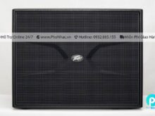 loa-sub-peavey-ck18s