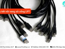 Day-ket-noi-vang-so-cong-LPT
