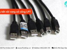 Day-ket-noi-vang-so-cong-LPT